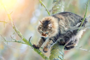 ����: ������ �� ������ ��� ��� ������������, ������� ����� ��������� � ����� ��������