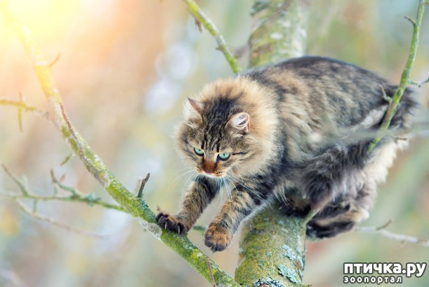 ���� 1: ������ �� ������ ��� ��� ������������, ������� ����� ��������� � ����� ��������