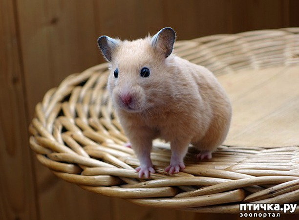 ���� 3: ������ �� ������ ��� ��� ������������, ������� ����� ��������� � ����� ��������