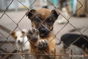 ����: ����� ��� ����� (��������)