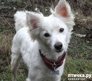 ����: ����� ��� ����� (��������)