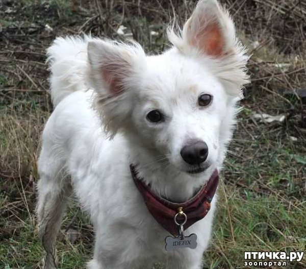 ���� 1: ����� ��� ����� (��������)