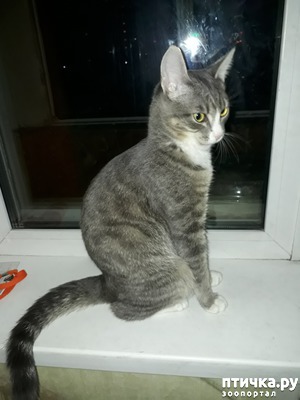 ����: ��� ������� ( ������ ��� �������)