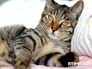 ����: ������ �� (�� ��� ��� �� ���)