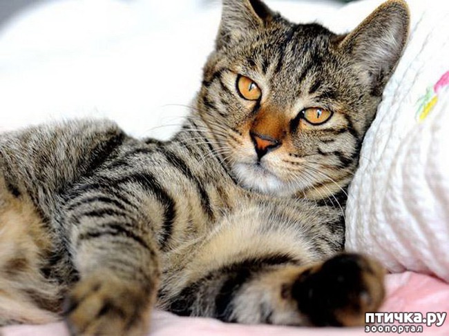 ���� 1: ������ �� (�� ��� ��� �� ���)