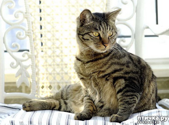 ���� 2: ������ �� (�� ��� ��� �� ���)