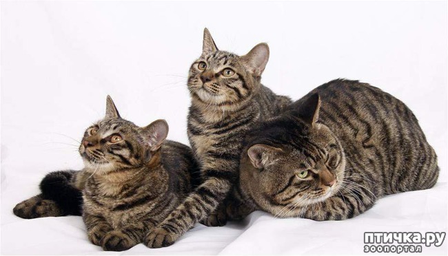 ���� 4: ������ �� (�� ��� ��� �� ���)