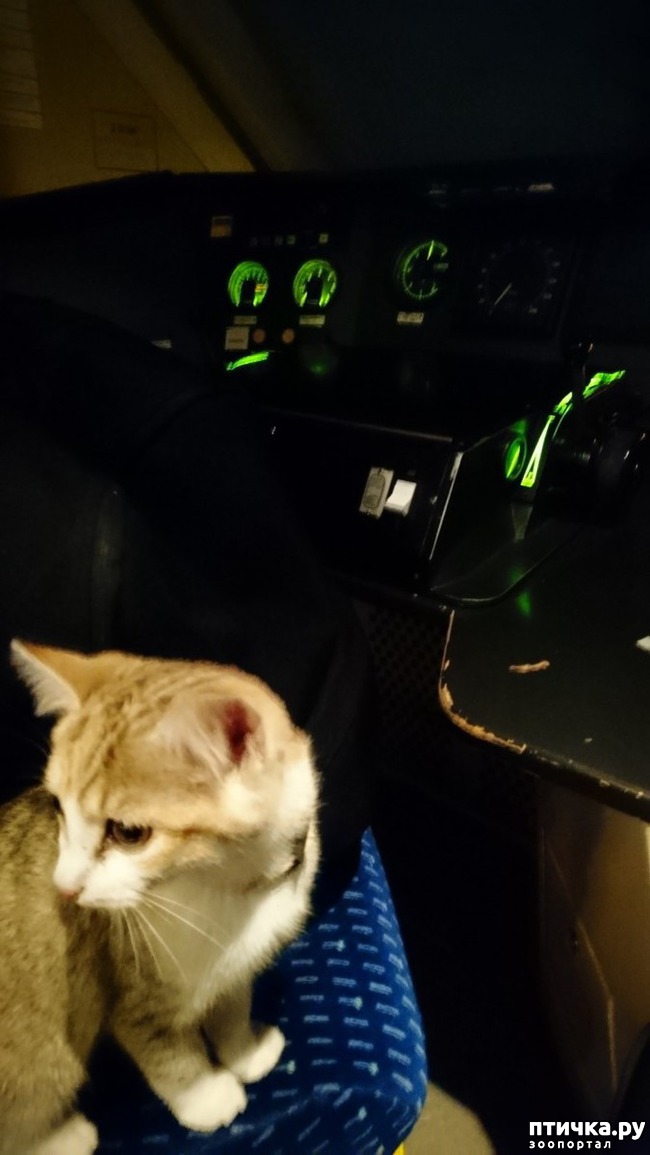 ���� 2: �������� ������� ��������� �����, ���������������� �������))