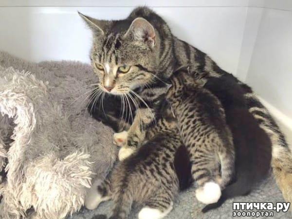 ���� 7: ����������� ������