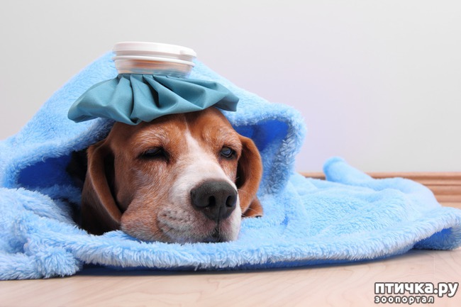 ���� 1: ���� ��������: ��� ������� �������� �������, ��� �� �����