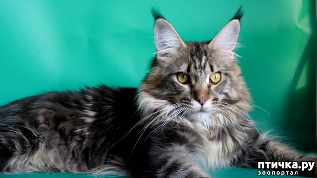 ���� 2: � - ��� � ������� � ���� �������� �����