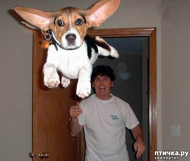 ���� 1: ��������� �������������: ��������� �����!