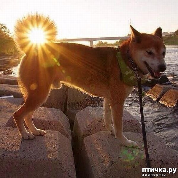 ���� 2: ��������� �������������: ��������� �����!