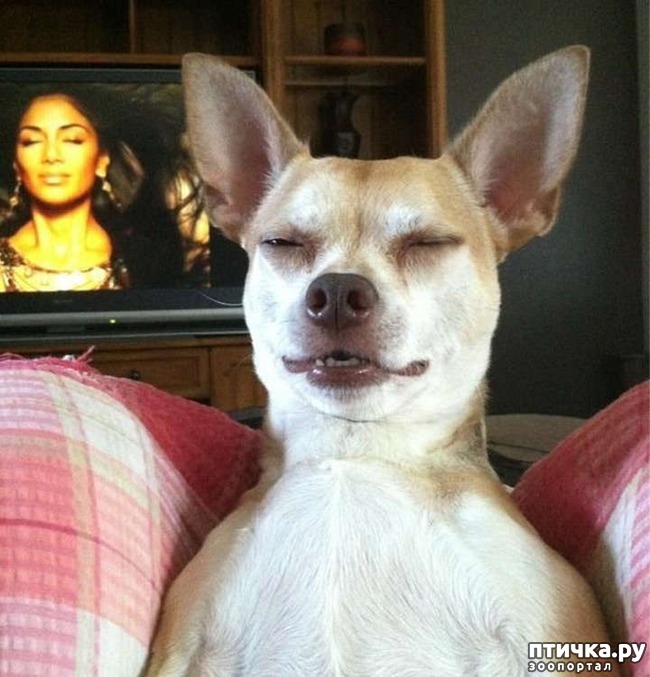 ���� 5: ��������� �������������: ��������� �����!