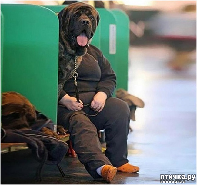 ���� 6: ��������� �������������: ��������� �����!