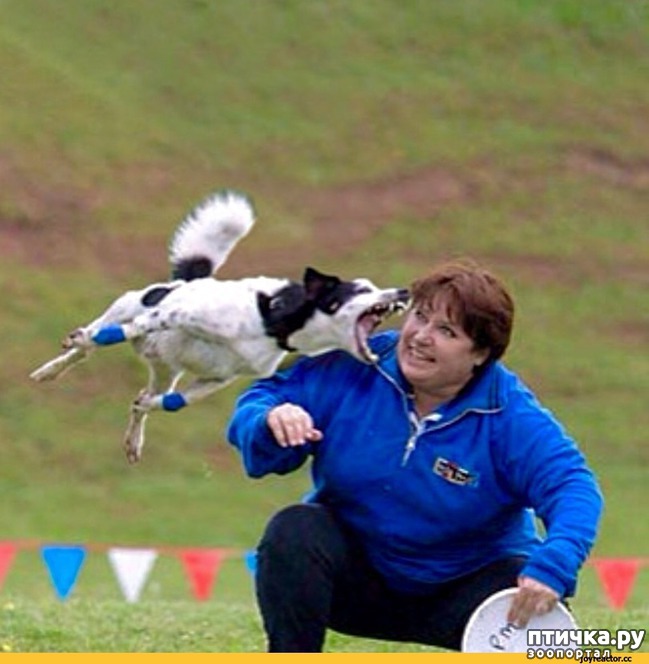 ���� 7: ��������� �������������: ��������� �����!