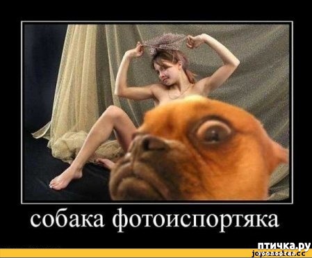 ���� 10: ��������� �������������: ��������� �����!