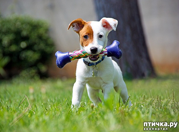 ���� 2: ������ ����������: ��������� ����� ����� ������