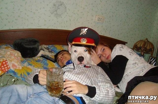 ���� 11: ��������� �������������: ��������� �����!