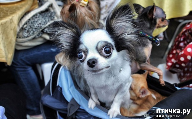 ���� 12: ��������� �������������: ��������� �����!