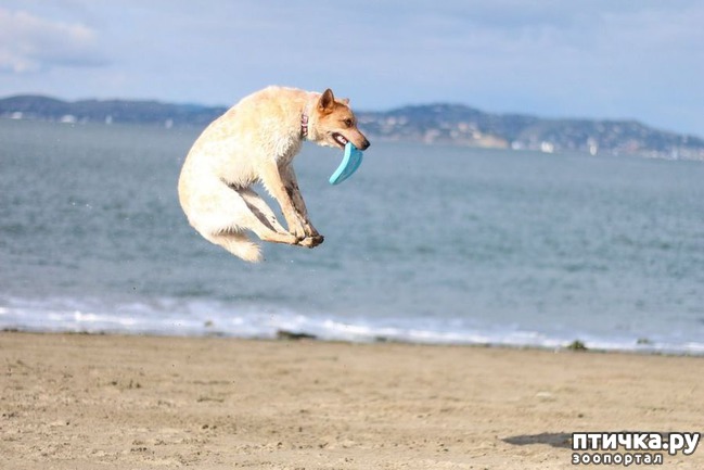 ���� 13: ��������� �������������: ��������� �����!