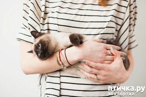 ����: ��� ��� ����� �������� ��������. 10 ���������� ��������