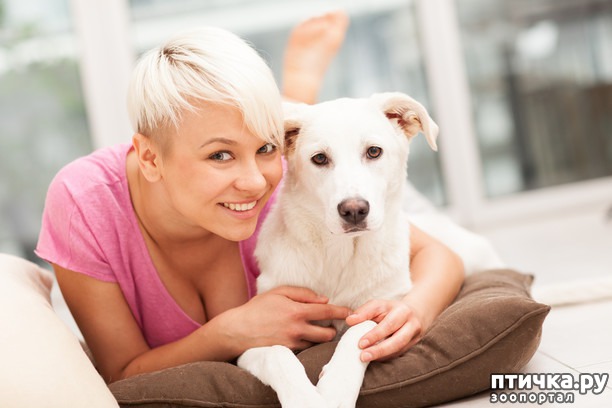 ���� 2: ��� ��� ����� �������� ��������. 10 ���������� ��������