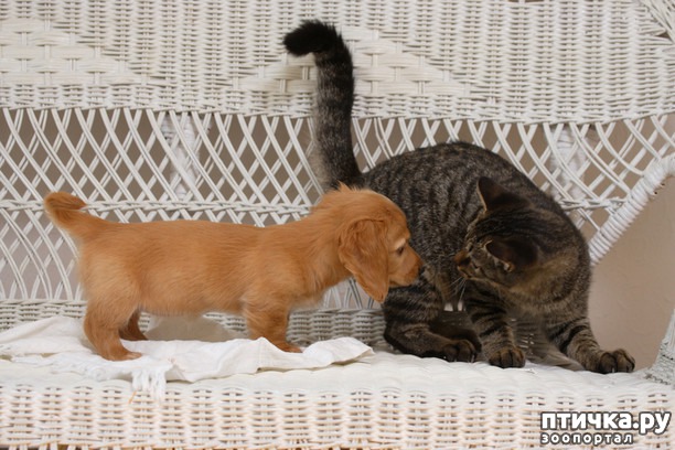 ���� 4: ��� ��� ����� �������� ��������. 10 ���������� ��������