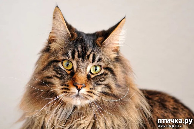 ���� 4: � - ��� � ������� � ���� �������� �����