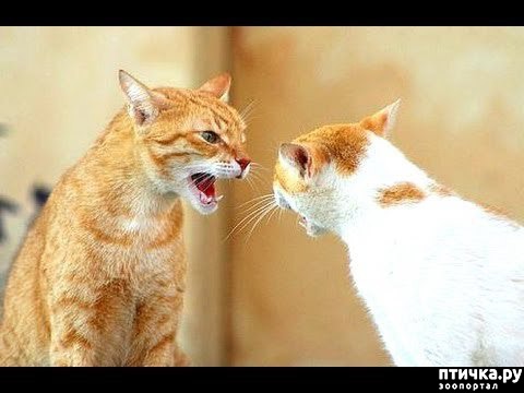 ���� 5: � - ��� � ������� � ���� �������� �����