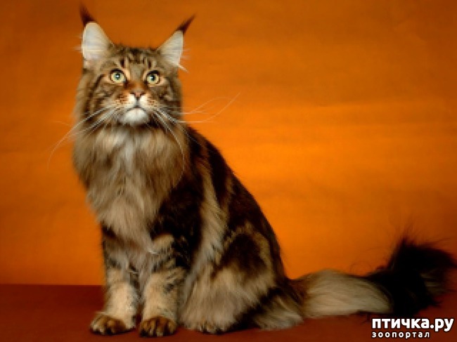 ���� 6: � - ��� � ������� � ���� �������� �����