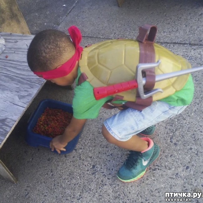 ���� 2: ��� ������! 5-������ ������� ������� ����� � �������� �����������