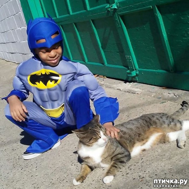 ���� 3: ��� ������! 5-������ ������� ������� ����� � �������� �����������