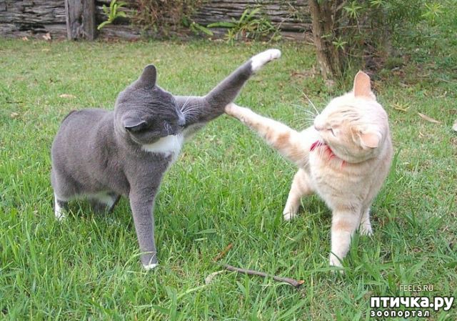 ���� 7: � - ��� � ������� � ���� �������� �����