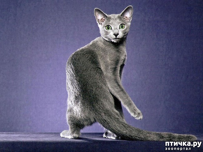 ���� 1: ������� �������.