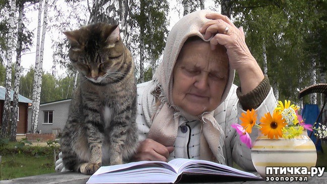 ���� 8: � - ��� � ������� � ���� �������� �����