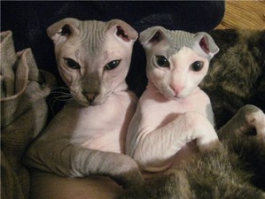 ����: ���������� ������