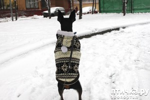 ����: ����. �����������. (�����������)