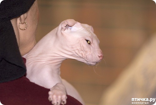  5:  