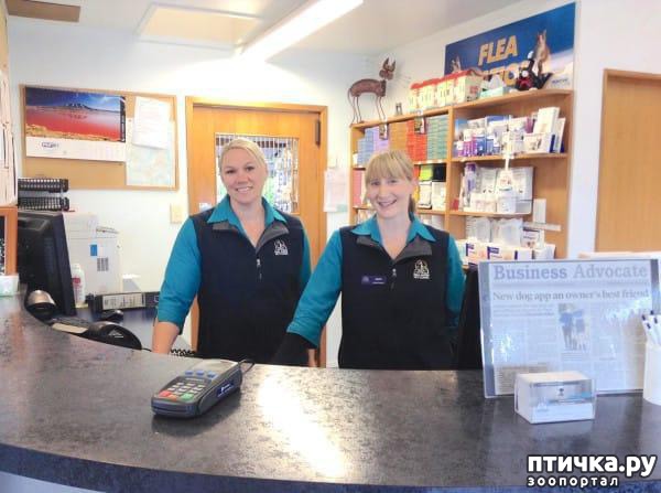 ���� 2: ����������� ������