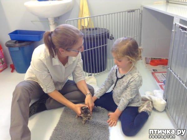 ���� 4: ����������� ������