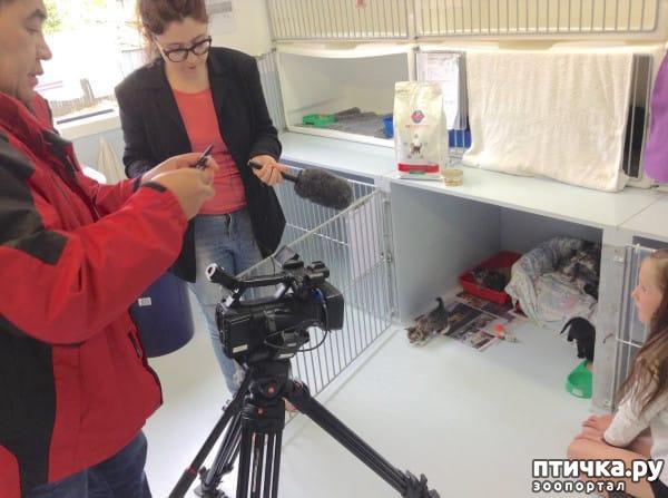 ���� 6: ����������� ������