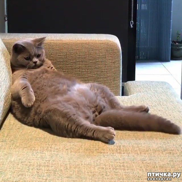  11:    