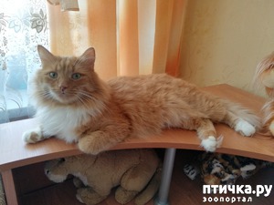 ����: � ���� ����, �����!