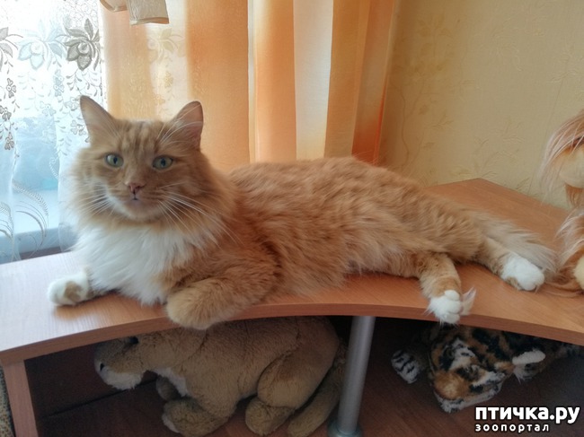 ���� 1: � ���� ����, �����!