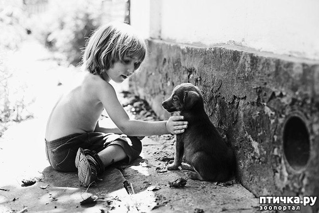 ���� 1: � ���� ������ ���� ���