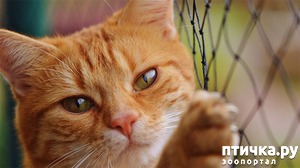 ����: � �������� ��������� �������� ������� ��� �����