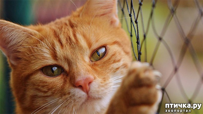 ���� 1: � �������� ��������� �������� ������� ��� �����