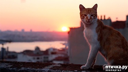 ���� 3: � �������� ��������� �������� ������� ��� �����