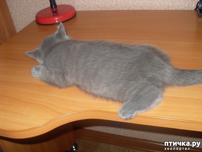 2:  